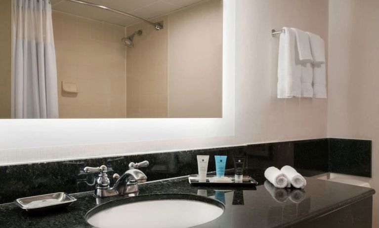 Guest bathroom with shower at Crowne Plaza Englewood.