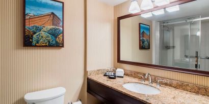 Guest bathroom with shower and free toiletries at Sheraton Hotel Newfoundland.