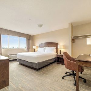 Bright and spacious day use room with work desk at Holiday Inn Lethbridge. 