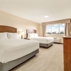 Bright and spacious day use twin room at Holiday Inn Lethbridge. 