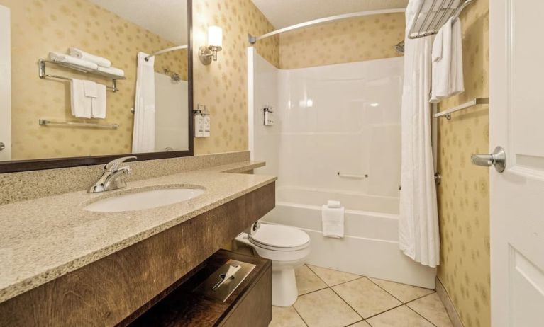 Guest bathroom at Holiday Inn Lethbridge. 