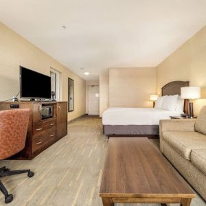 Day use room with TV, work desk and living area at Holiday Inn Lethbridge. 