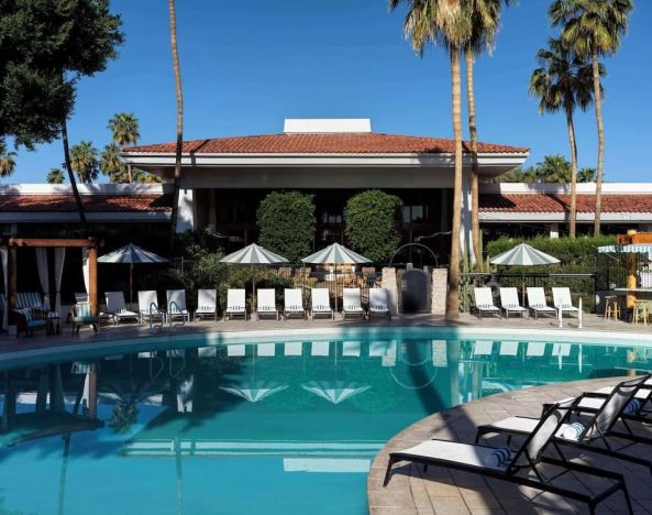 Sun loungers beside outdoor pool at The Scott Resort & Spa.