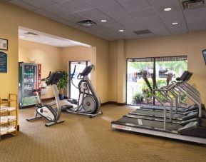 Fitness facility at Holiday Inn Orlando SW - Celebration Area.