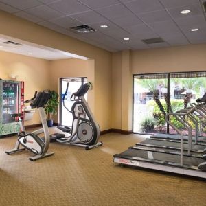 Fitness facility at Holiday Inn Orlando SW - Celebration Area.