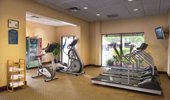 Fitness facility at Holiday Inn Orlando SW - Celebration Area.