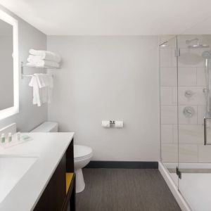 Guest bathroom with shower at Holiday Inn Orlando SW - Celebration Area.