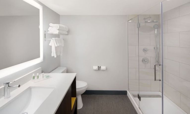 Guest bathroom with shower at Holiday Inn Orlando SW - Celebration Area.