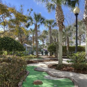 Mini golf available at Holiday Inn Express & Suites S Lake Buena Vista.