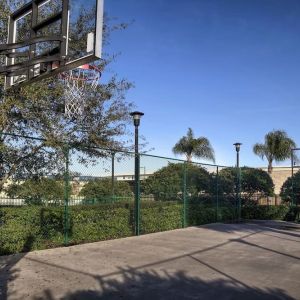 Basketball court available at Holiday Inn Express & Suites S Lake Buena Vista.