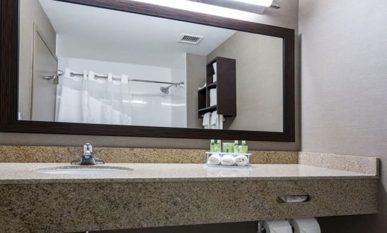 Guest bathroom with shower at Holiday Inn Express & Suites Naples Downtown - 5th Avenue.