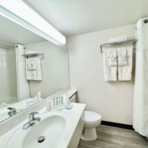 Guest bathroom with shower and tub at Divya Sutra Plaza & Conference Centre.