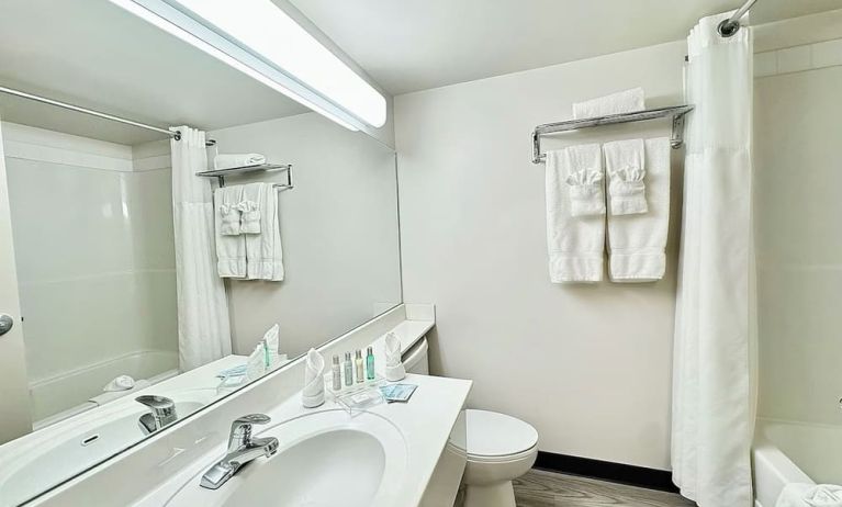 Guest bathroom with shower and tub at Divya Sutra Plaza & Conference Centre.