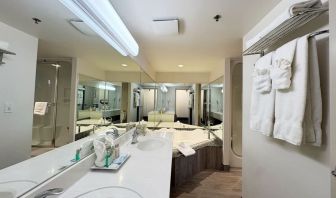 Guest bathroom with hot tub at Divya Sutra Plaza & Conference Centre.
