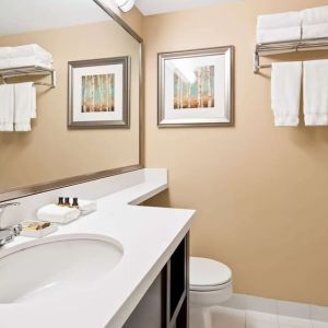 Guest bathroom with shower and tub at Best Western Plus Winnipeg Airport.