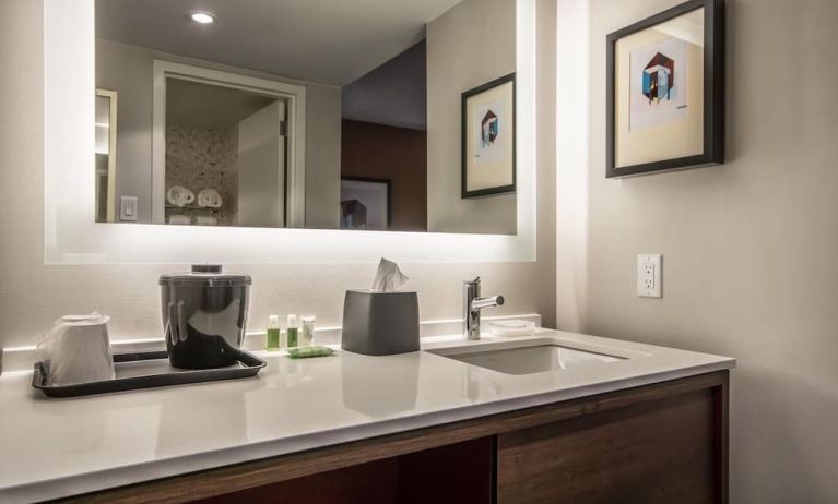 Guest bathroom at Holiday Inn St. John's Conference Centre.