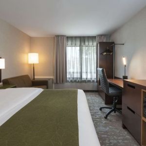 Bright and spacious day use room with TV, work desk and sofa at Comfort Inn Fredericton.