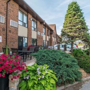 Hotel exterior with beautiful sitting area at Comfort Inn Sault Ste. Marie.