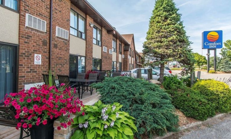 Hotel exterior with beautiful sitting area at Comfort Inn Sault Ste. Marie.