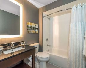 Guest bathroom with shower and tub at Comfort Inn Winnipeg Airport.