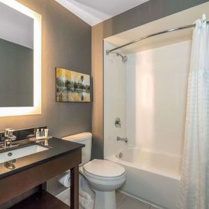 Guest bathroom with shower and tub at Comfort Inn Winnipeg Airport.