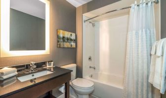 Guest bathroom with shower and tub at Comfort Inn Winnipeg Airport.