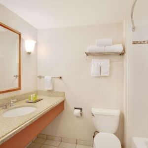 Guest bathroom with shower and tub at Hilton Seattle Airport & Conference Center.