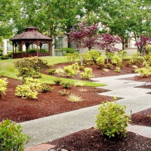 Garden at Hilton Seattle Airport & Conference Center.