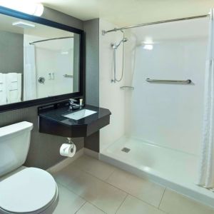 Guest bathroom with shower and free toiletries at Comfort Inn Moncton Magnetic Hill.