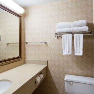 Guest bathroom with shower at Best Western North Bay.