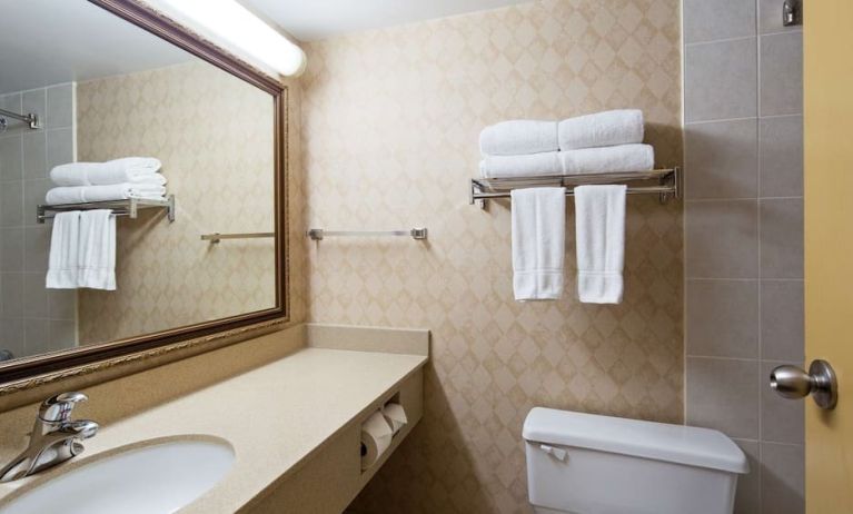 Guest bathroom with shower at Best Western North Bay.