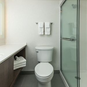 Guest bathroom with shower at Holiday Inn Kingston Waterfront.