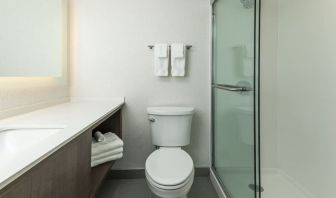 Guest bathroom with shower at Holiday Inn Kingston Waterfront.