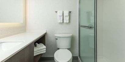 Guest bathroom with shower at Holiday Inn Kingston Waterfront.