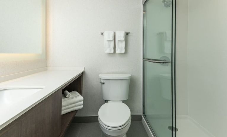 Guest bathroom with shower at Holiday Inn Kingston Waterfront.