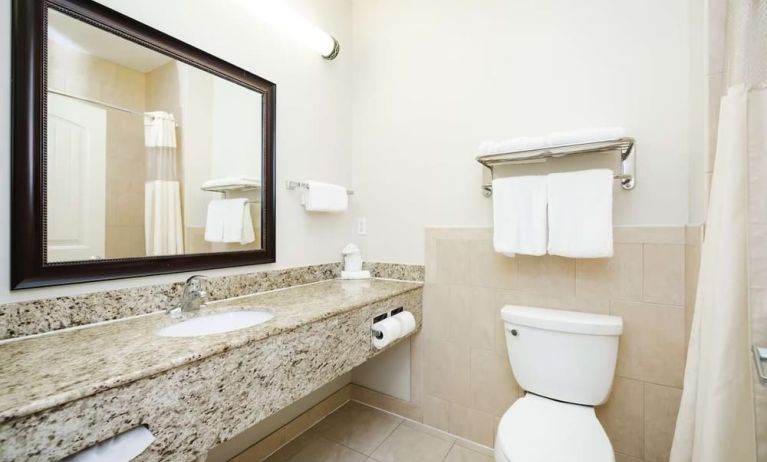 Guest bathroom with shower at Best Western Sugar Land Inn.