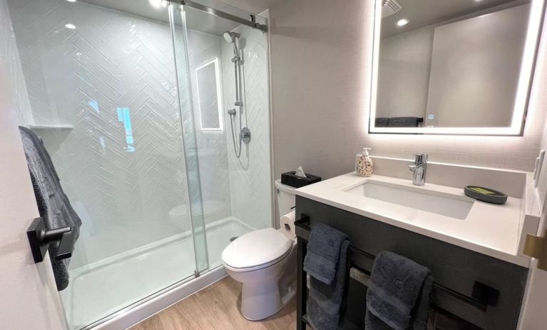 Guest bathroom with shower at Les Suites Hotel Ottawa.