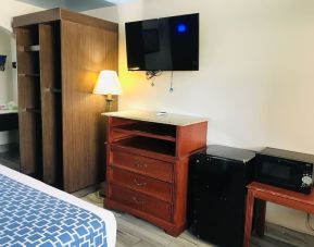 Day use room amenities include microwave and mini fridge at Summit Inn Near Houston Medical Center-NRG Park.