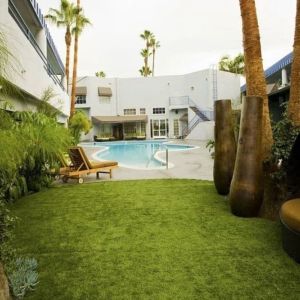 Garden beside the pool at Hotel Current.