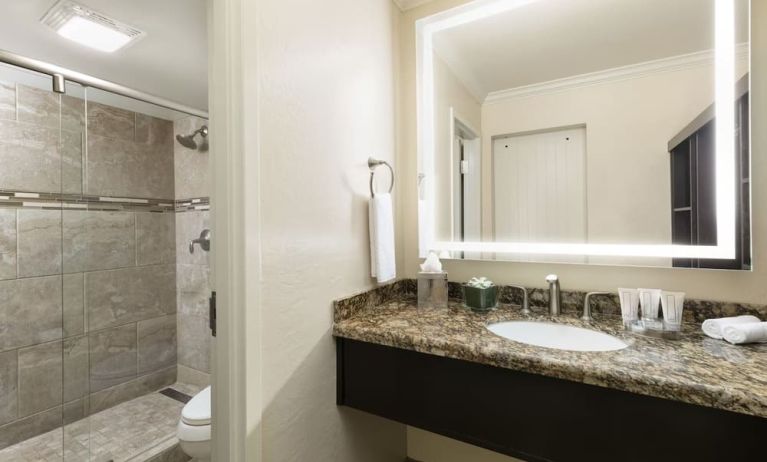 Guest bathroom with shower at The Scottsdale Plaza Resort.