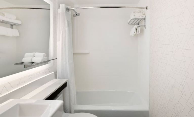 Guest bathroom with shower and tub at Holiday Inn Express New York City - Chelsea.