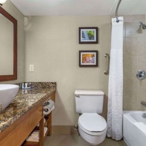 Guest bathroom with shower and tub at Comfort Inn & Suites Glen Mills – Concordville.