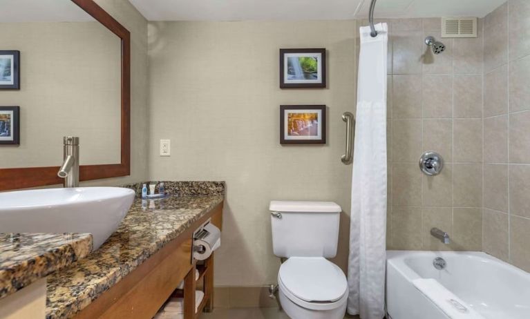 Guest bathroom with shower and tub at Comfort Inn & Suites Glen Mills – Concordville.