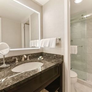 Guest bathroom with shower at Capital Hilton.