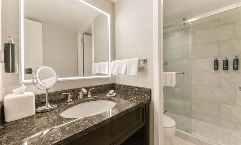 Guest bathroom with shower at Capital Hilton.