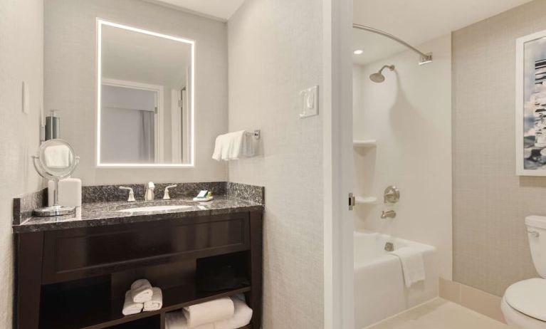 Guest bathroom with shower and tub at Capital Hilton.