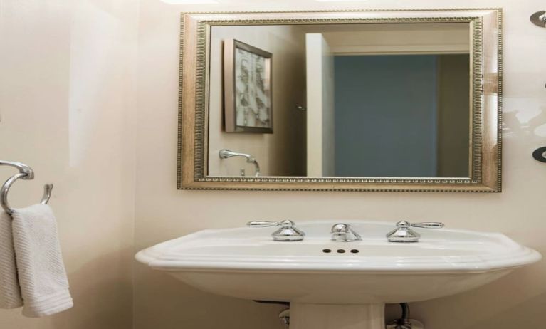 Guest bathroom with shower at Renaissance Newark Airport Hotel.