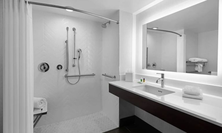 Guest bathroom with shower at Holiday Inn Hasbrouck Heights-Meadowlands.