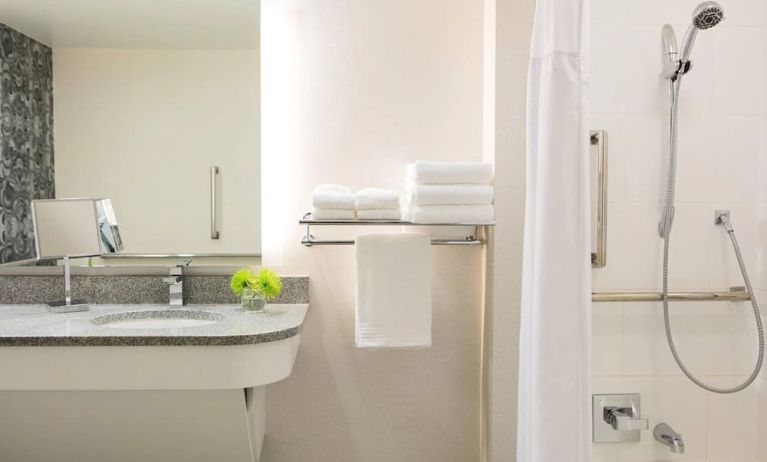 Guest bathroom with shower and tub at Renaissance Meadowlands Hotel.