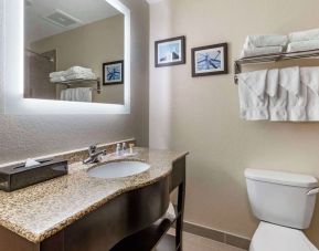 Guest bathroom with shower at Comfort Suites Phoenix Airport.